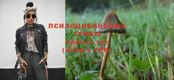 дмт Армянск